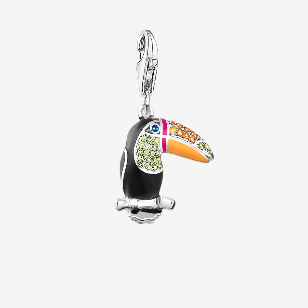 Toucan Charm
