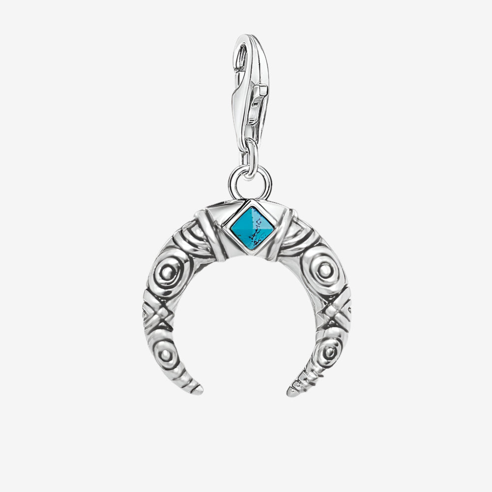 Explorer's Tooth Charm