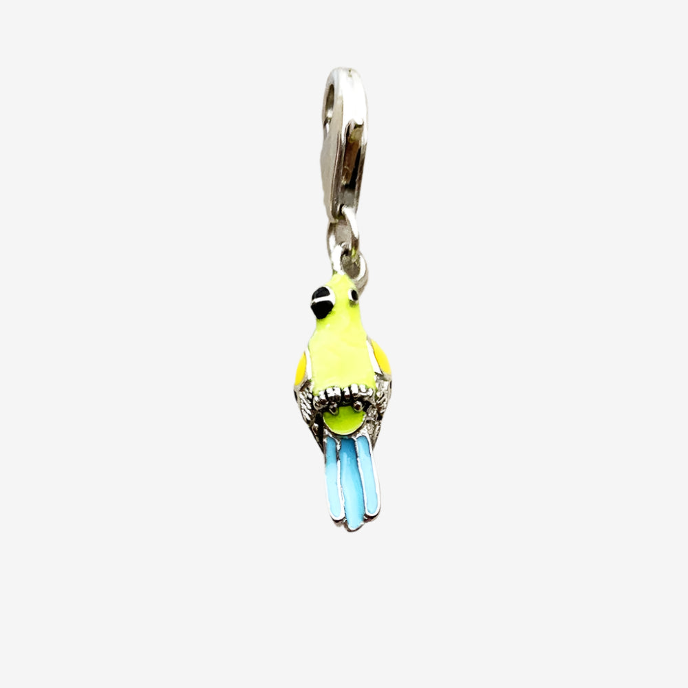 Parrot Charmk
