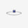 Timless Essences Ring