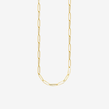 Slim Clasp Charm Necklace