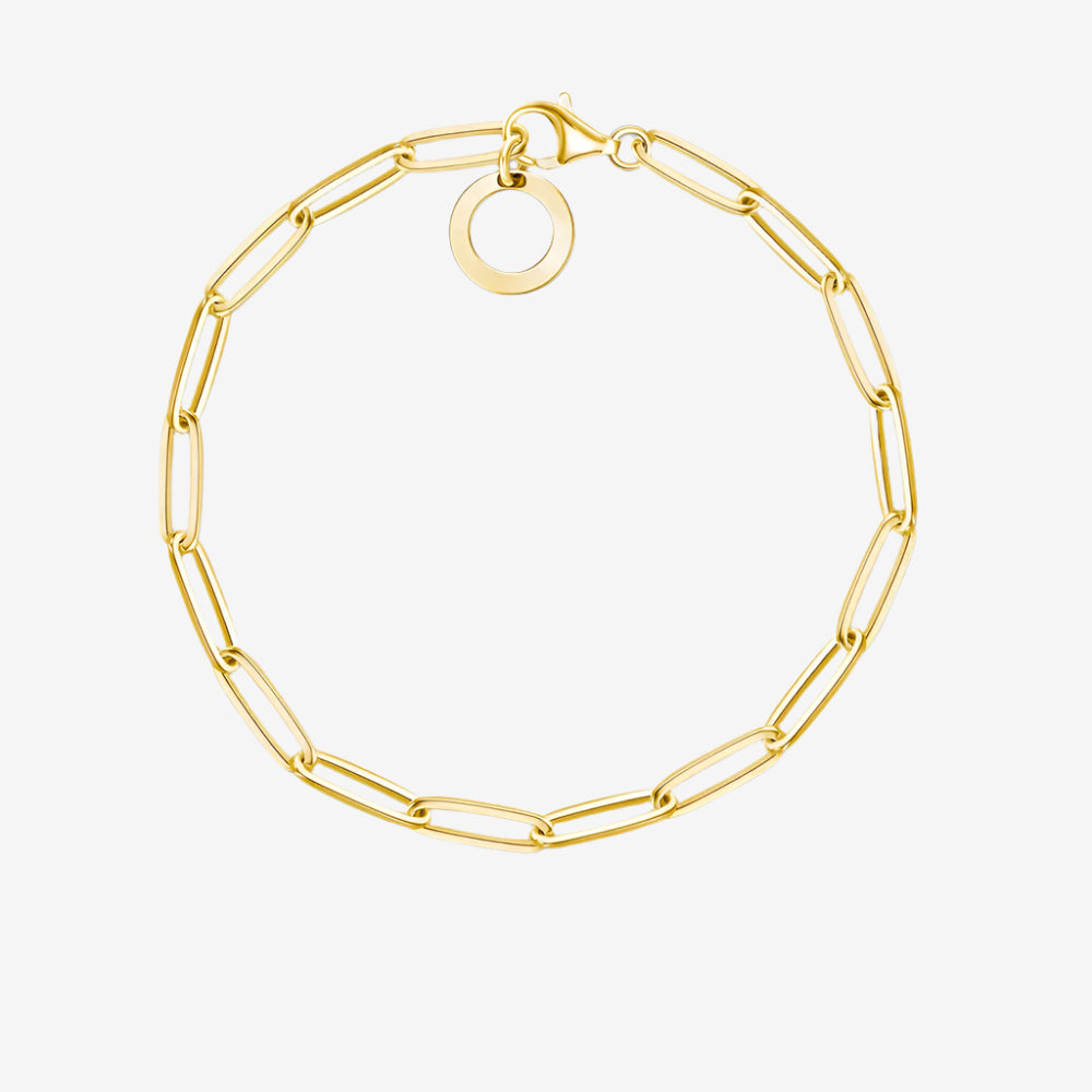 Gold Link Clasp Charm Bracelet