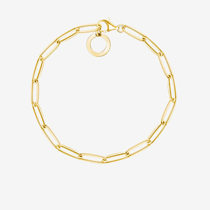 Gold Link Clasp Charm Bracelet